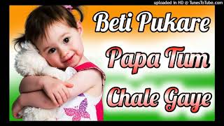 Beti Pukare Papa Tum Kaha Chale Gaye||Desh Bhakti Dj Remix Song||Hard Dholki Mix||Dj Monu Yadav