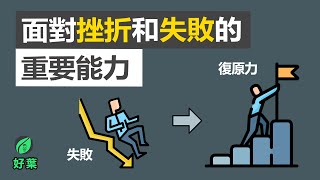 3招提升复原力：面對挫折和失敗的重要能力 | 尋找復原力 | 好葉說書