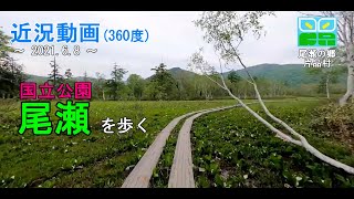 【360度動画】2021.06.08　尾瀬の状況（鳩待峠～下大堀川）