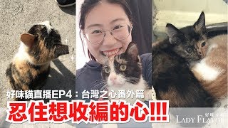 【好味貓直播】EP4 台灣之心 忍住想收編的心