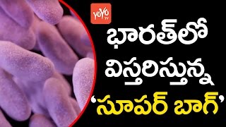 భారత్‌లో విస్తరిస్తున్న 'సూపర్ బగ్' | 'Superbug' Spreading in India | YOYO TV Channel