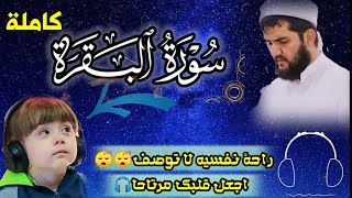 سورة البقرة كاملةll القارئ دلشاد احمد الكردي/ اجعل قلبك مرتاحا لسماع القران💚