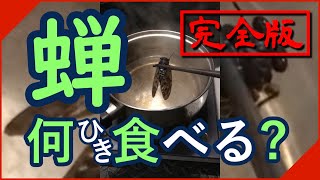 【昆虫食】セミ食べよう ～セミチップスにして食べる～