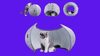 Before You Buy AMJ Cat Bed for Indoor Cats, Cat Bed Cave for Pet Cat Toy Balls Cat
