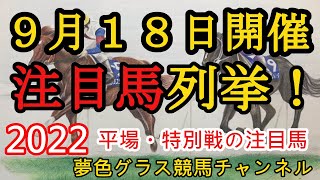 【注目馬列挙・平場予想】2022年9月18日JRA平場特別戦！土曜日は8頭中5頭馬券内！ラジオ日本賞は強烈な末脚期待！