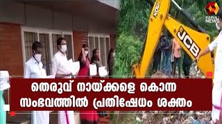 തെരുവുനായ്ക്കളെ കൂട്ടത്തോടെ കൊന്ന സംഭവം; തൃക്കാക്കര നഗരസഭയ്ക്കെതിരെ പ്രതിഷേധം ശക്തം | Kairali News