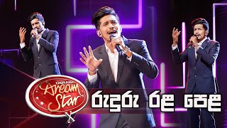 Lukshan Gamage |Ruduru Rala Pela (රුදුරු රළ පෙළ ) | Dream Star Season 10