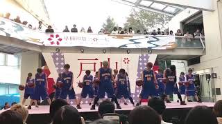 早稲田祭2017 戸山キャンパスステージ 【ED】WASEDA BALLERS