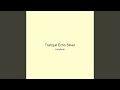 Tranquil Echo Silver