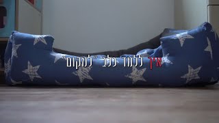 איך ללמד כלב למקום - It's all about Dogs