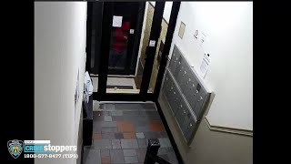 Police Trying To Identify Kips Bay Package Thief