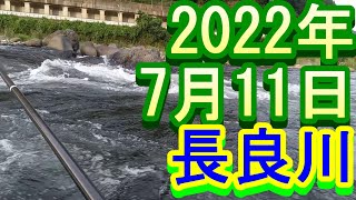 鮎釣り 10cm高垢良好 道満 ハンバーグコダチ前 長良川 2022年