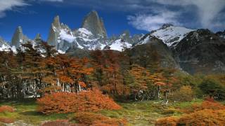 Argentine Andean Folk Music