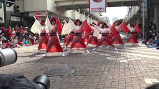 2015 新潟総踊り あじかた心 花桃鳥 -toki-