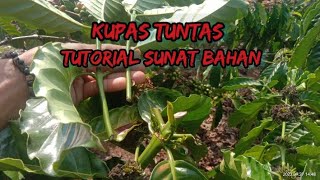 PERAWATAN HASIL SUNAT (COAK) BAHAN B0 AGAR MAXIMAL