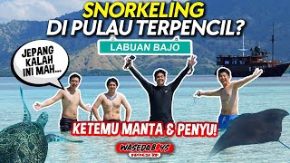 Download Mp3 WASEDABOYS KAGET LIAT PANTAI TERINDAH DALAM HIDUP BERENANG SAMA MANTA PENYU INDONESIA TRIP