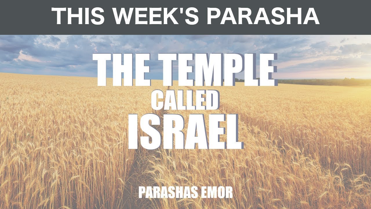 The Temple Called Israel | Rabbi Yaacov Haber | Parshas Emor 5779 - YouTube