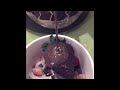 how to make menchies frozen yogurt