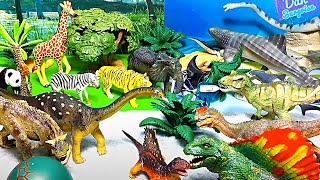 Dinosaurs, Wild Animals, Sea Animals, T-Rex, Giraffe, Whale Shark, Shark, Ankylosaurus, Tiger, Zebra