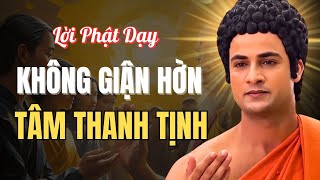 Người Không Giận Hờn – Nghe Lời Phật Dạy Tâm Thanh Tịnh, Đời Hạnh Phúc