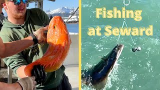 Fishing at Seward 阿拉斯加-出海钓鱼