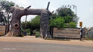 வடுவூர் பறவைகள் சரணாலயம்/Vaduvoor Bird Sanctuary