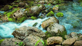 苔むした岩の上を舞う魅惑的なターコイズブルーの水!