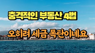 충격적인 부동산 4법 오히려 세금 폭탄이네요.