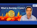 Should You Burn Your Crypto?