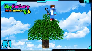 SkyFactory V.6 #1 - Starting New Journey With 1 Tree | Minecraft PE in Hindi