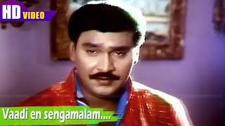 வாடி என் செங்கமலம் பாடல் | vaadi en sengamalam song | Ilayaraja |  Minmini | Vaali | Rasukutti .