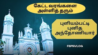 புனித அந்தோணியார் கோவில் புளியம்பட்டி |Saint Anthony's Church puliampatti@fspnvlog