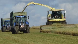 Silage 2020 - Wholecrop Oats with Krone BiG X 1180 \u0026 New Hollands