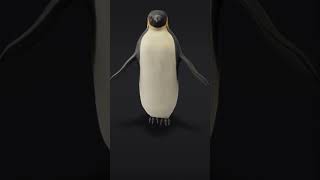 Emperor penguin 3D Animation #shorts #animals