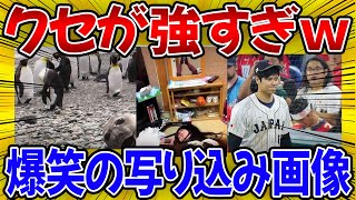 【爆笑】腹痛いｗｗ声出して笑った写り込み画像・動画を紹介【2ch・ゆっくり・ガルちゃん】