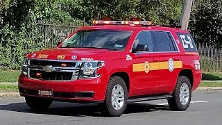 PFD ES-11 Responding (Yelp,Wail)