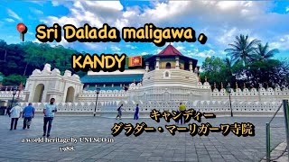 ダラダー・マーリガーワ寺院 , Dalada Maligawa ,දළදා මාලිගාව,