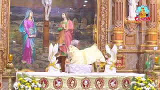 🔴 Live 09 December 2024 @ Vailankanni Shrine Basilica