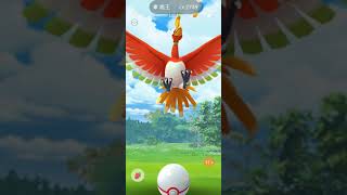 Pokemon Go 香港破敵王。強陣對抗鳳王。還收服了 CP 2749 高 IV 鳳王!😎