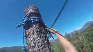 Heavy Rigging - Zipline - Speed Line -Tree Work - Arborist