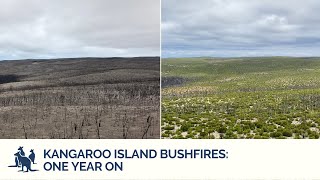 Kangaroo Island Bushfires: One Year On | Exceptional Kangaroo Island