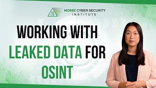 Working with leaked data for OSINT