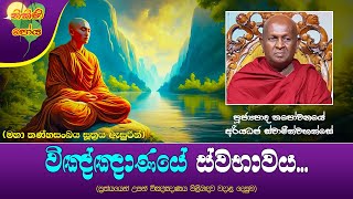 Ven Thapowanaye Ariyadaja Thero|2024-08-19 | 07:30 AM (විඤ්ඤාණයේ ස්වභාවය...)