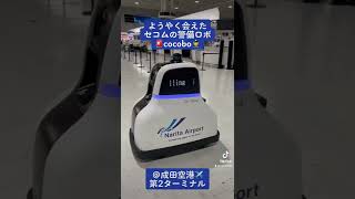 成田空港の警備ロボットcocobo