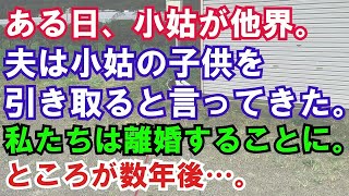 【修羅場】ある日、小姑が他界。夫は小姑の子供を引き取ると言ってきた。私たちは離婚することに。ところが数年後…。