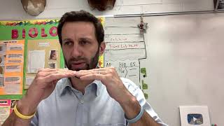 Ap bio 3-9 d35. Population ecology pt2/3. Population math practice.