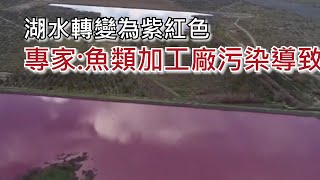 阿根廷一湖泊被污染成紫色#，專家：被當地一加工廠廢物污染