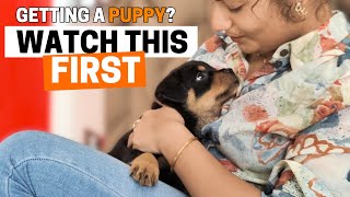 How to Prepare Your Home For a New Rottweiler Puppy