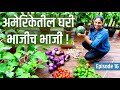 भाजीच भाजी - चला पाहुयात माझ्या घरच्या बागेतील भाजीपाला, Harvest Patio Vegetables !! #AmericaAndMe