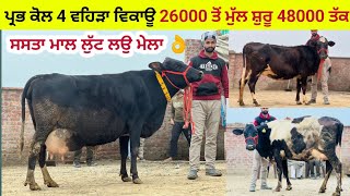 ਪ੍ਰਭ ਕੋਲ 4 ਵਹਿੜਾ ਵਿਕਾਊ 26000 ਤੋਂ ਮੁੱਲ ਸ਼ੁਰੂ 48000 ਤੱਕ । ਪਿੰਡ ਸਰਾਲੀ ਮੰਡ। ਪੱਟੀ ਤਰਨਤਾਰਨ